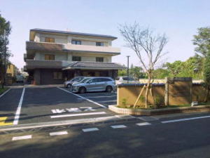 nisihatuisi