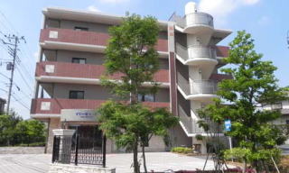 matudo