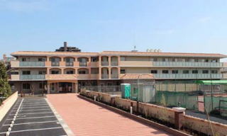 toyosiki